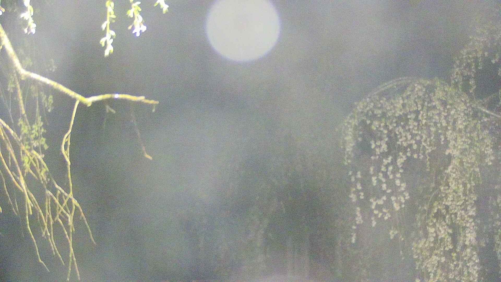 area2-20250429032106.jpg