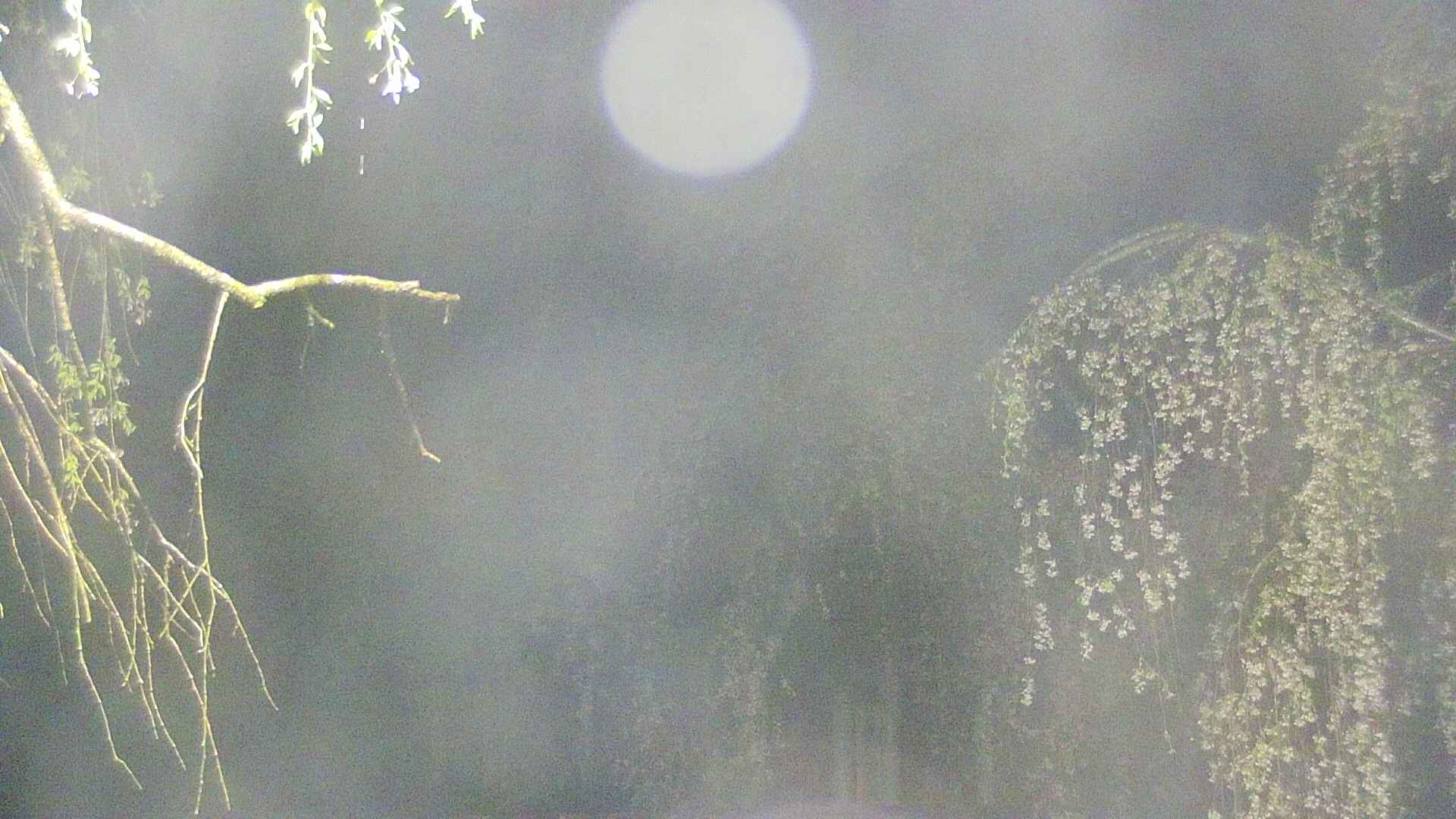 area2-20250429035106.jpg