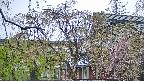area2-20250429073106.jpg