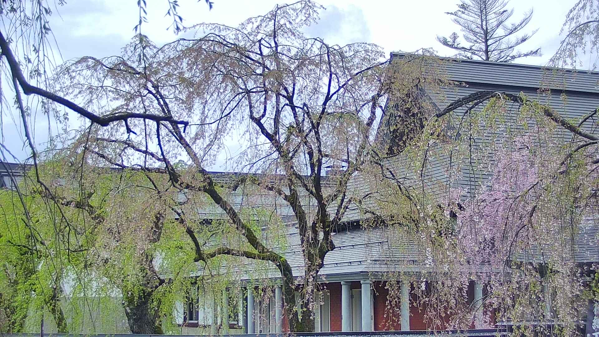 area2-20250429122106.jpg