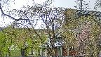 area2-20250429124106.jpg
