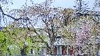 area2-20250429130106.jpg