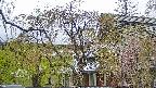 area2-20250429141107.jpg