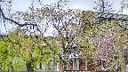 area2-20250429152106.jpg