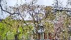 area2-20250429160106.jpg