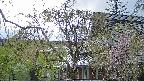 area2-20250429174106.jpg