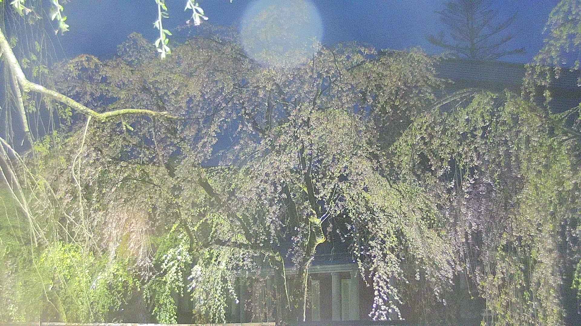 area2-20250429190106.jpg