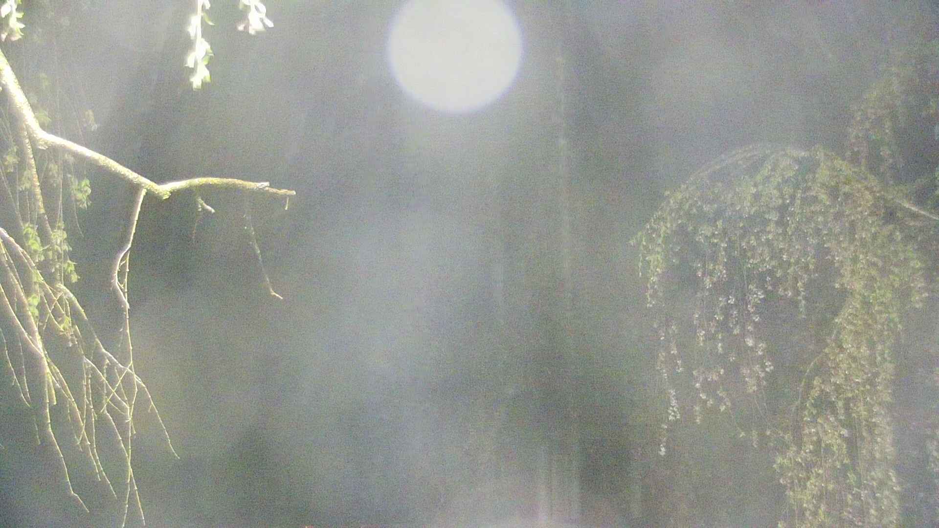 area2-20250430015105.jpg