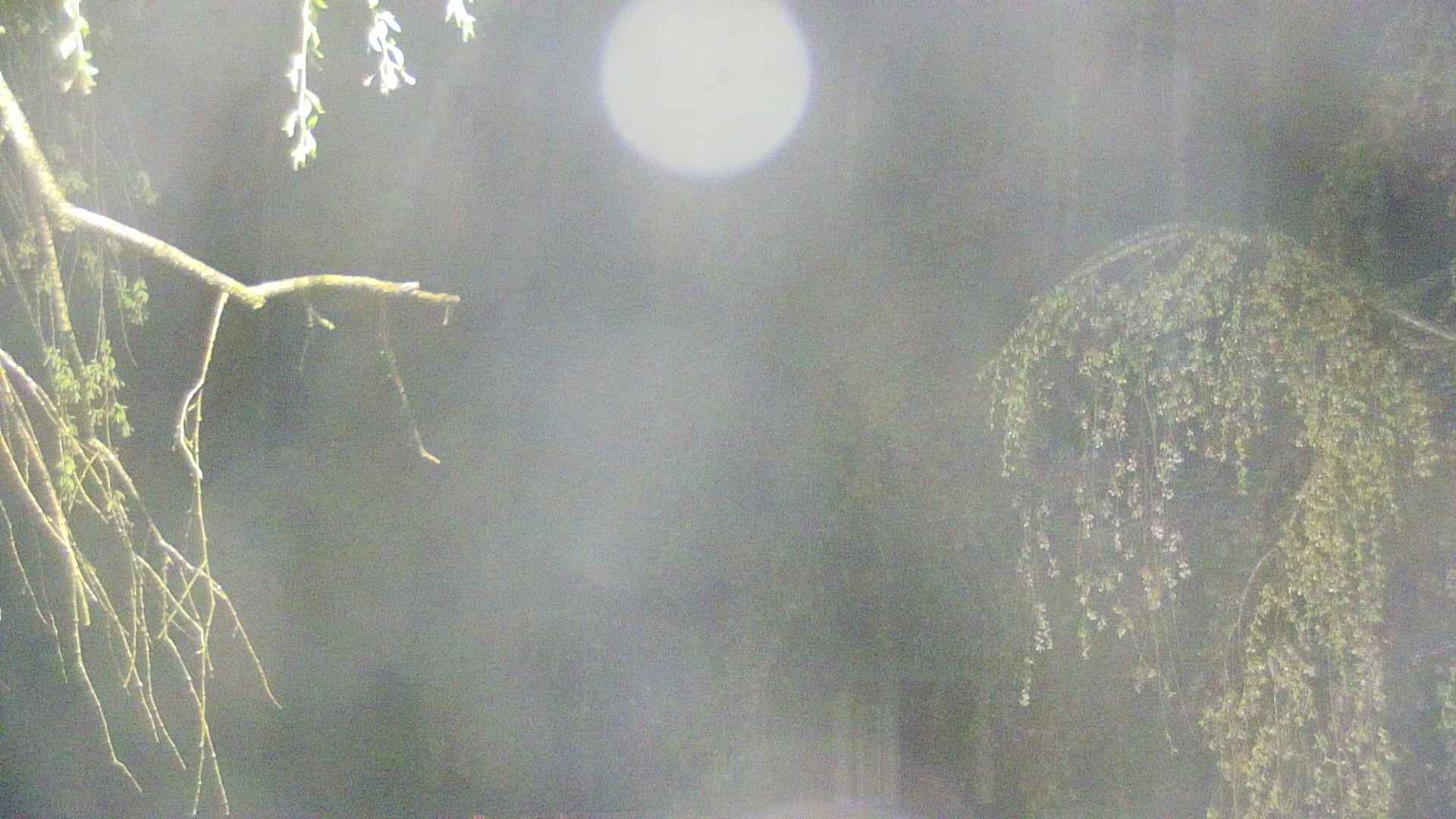 area2-20250430021106.jpg