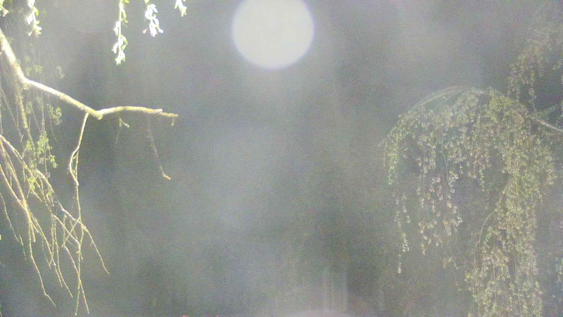 area2-20250430024104.jpg