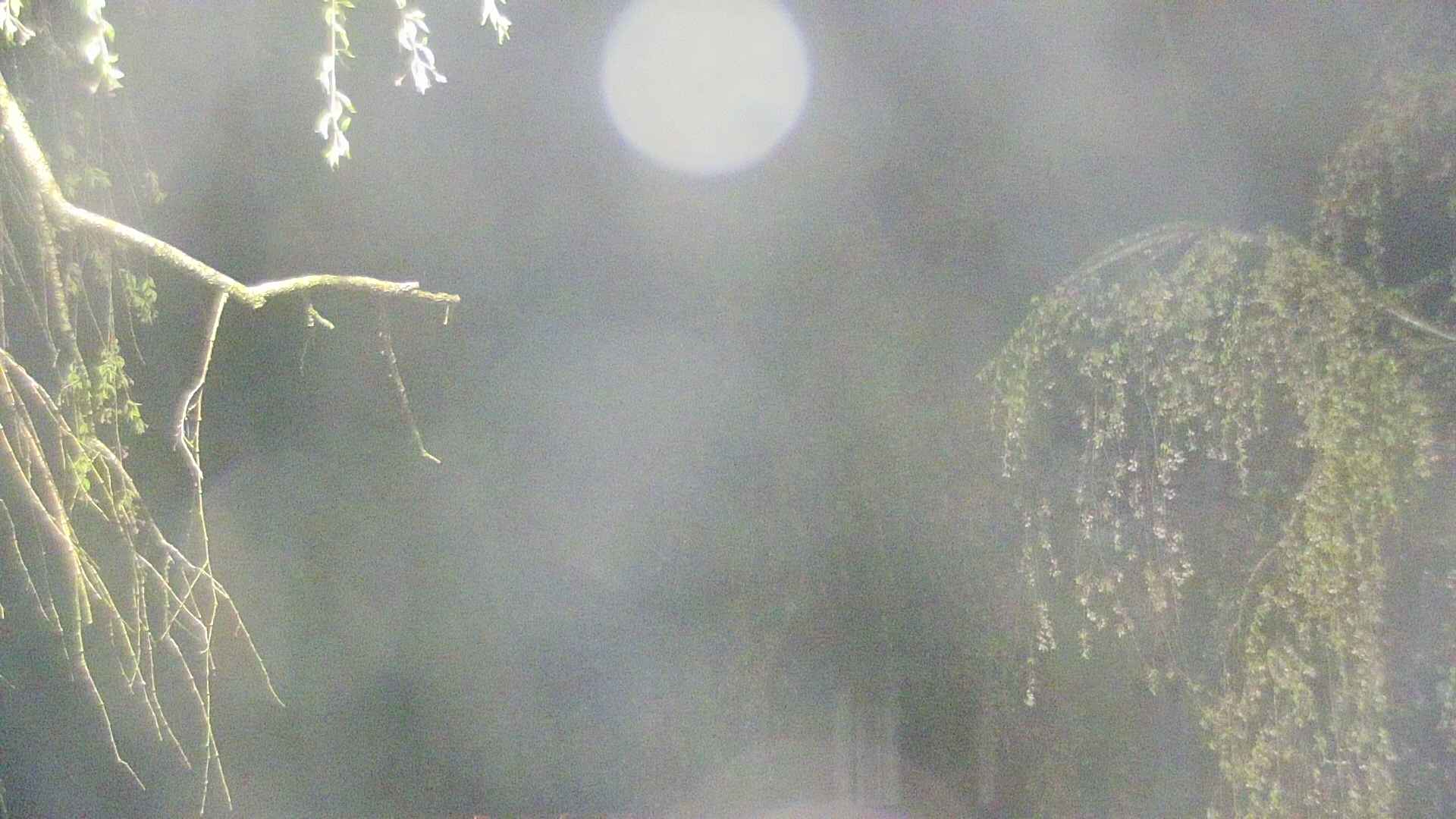 area2-20250430025106.jpg