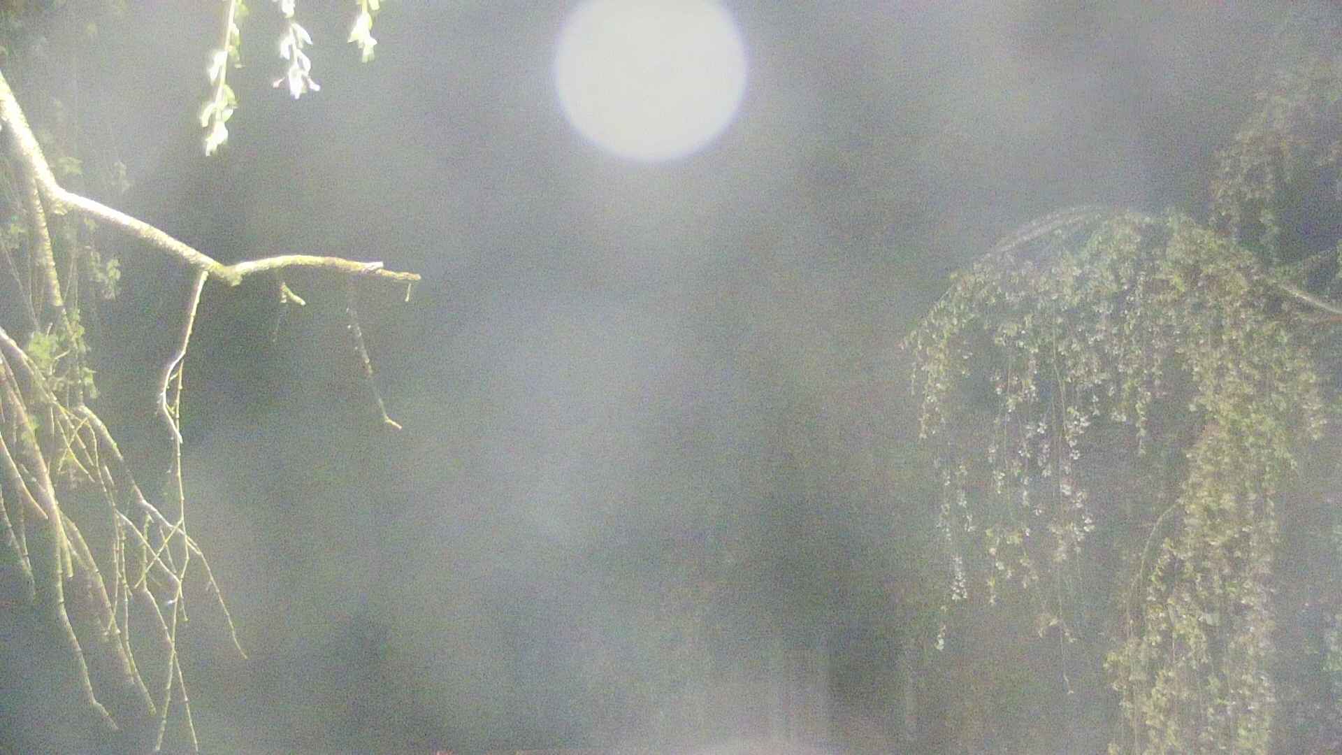 area2-20250430030106.jpg