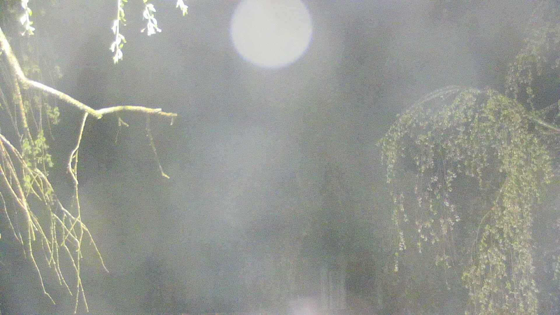 area2-20250430031106.jpg
