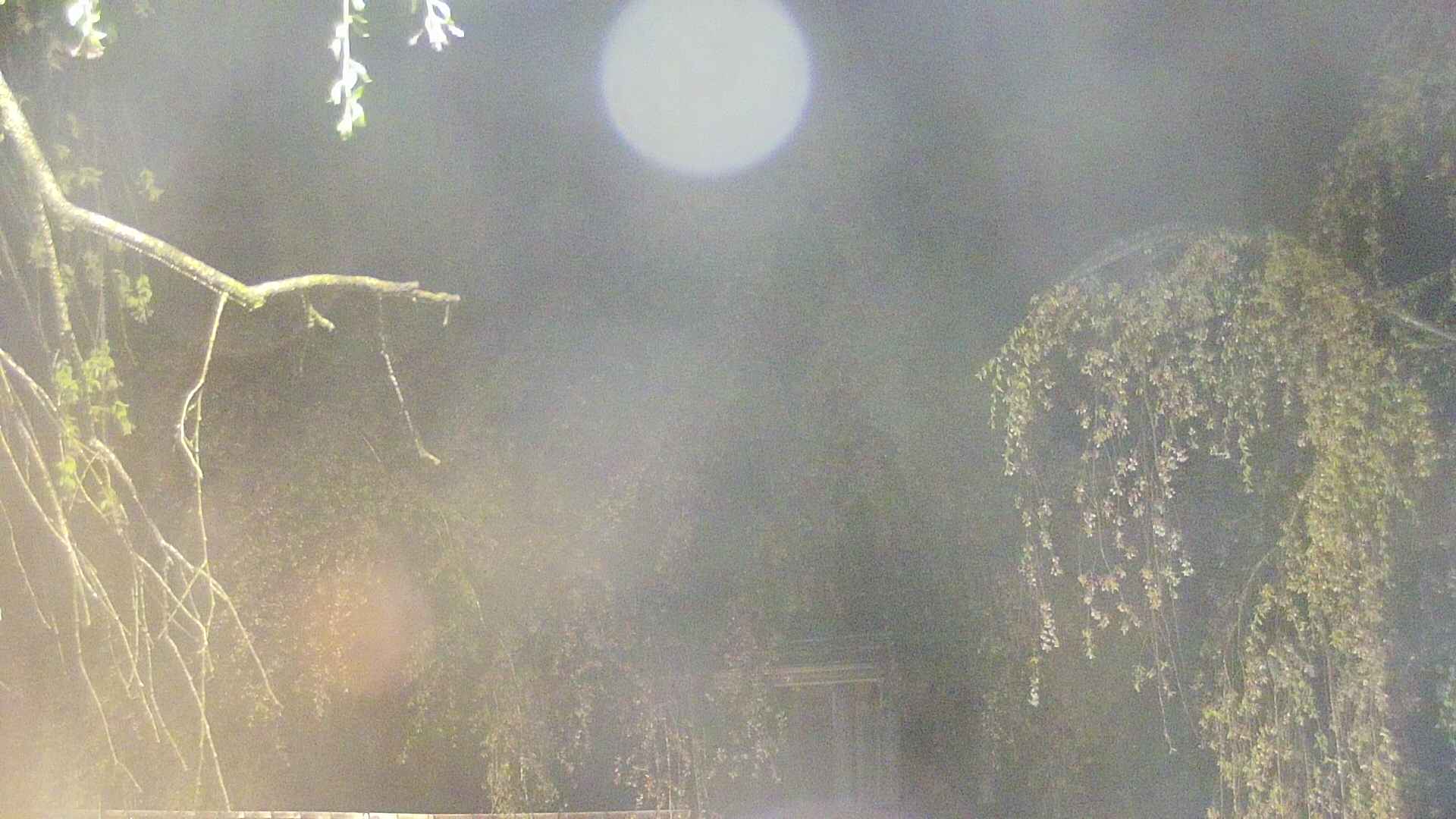 area2-20250430032106.jpg