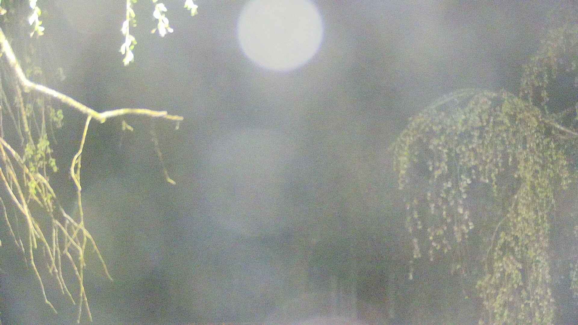 area2-20250430034104.jpg