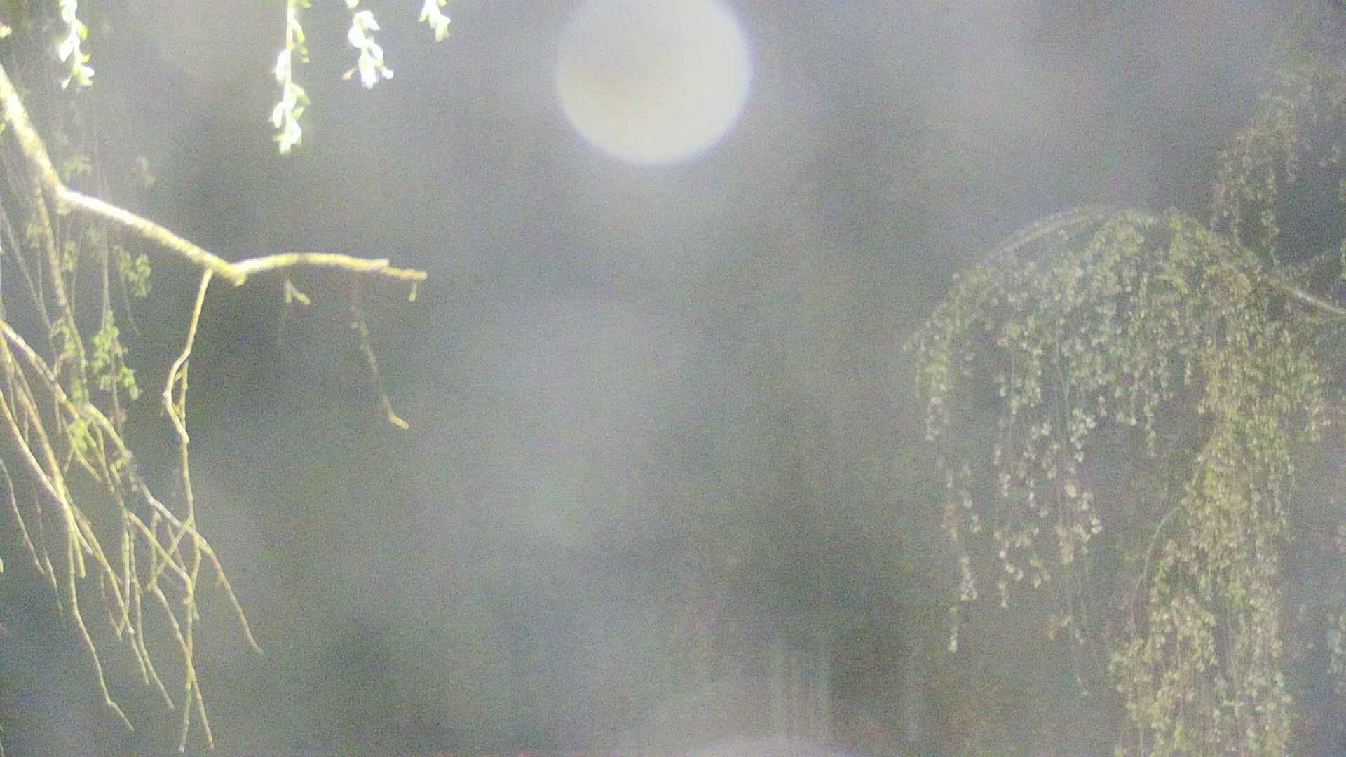 area2-20250430035106.jpg