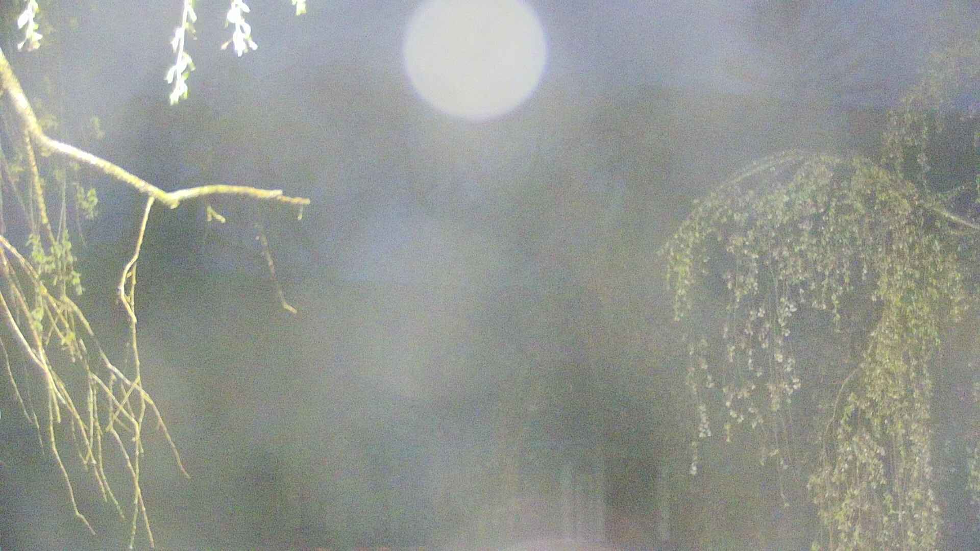 area2-20250430040106.jpg