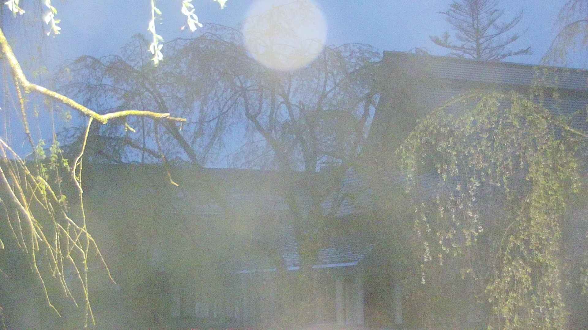 area2-20250430041106.jpg