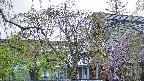area2-20250430060106.jpg