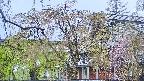 area2-20250430064106.jpg