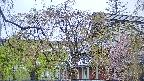 area2-20250430074105.jpg