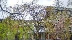 area2-20250430080106.jpg