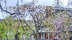 area2-20250430081106.jpg