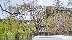 area2-20250430085106.jpg