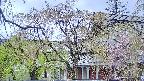 area2-20250430102105.jpg
