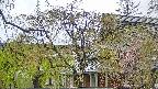 area2-20250430110106.jpg
