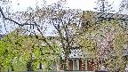 area2-20250430120105.jpg
