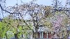 area2-20250430124105.jpg