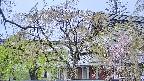 area2-20250430140106.jpg