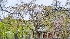 area2-20250430145105.jpg