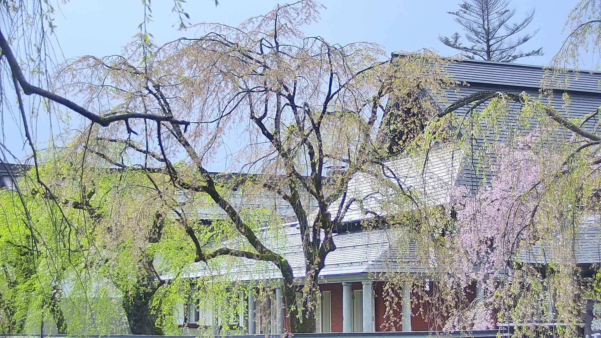 area2-20250430153105.jpg