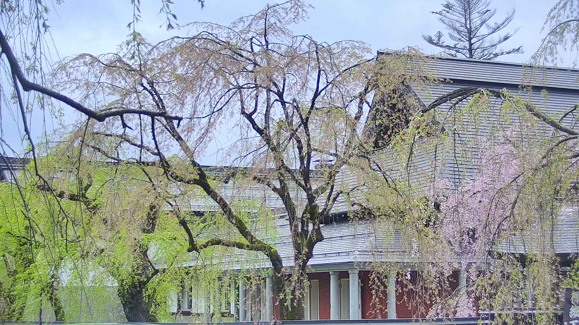 area2-20250430155104.jpg