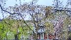 area2-20250430175106.jpg
