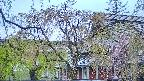 area2-20250430180105.jpg