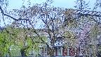 area2-20250430181104.jpg