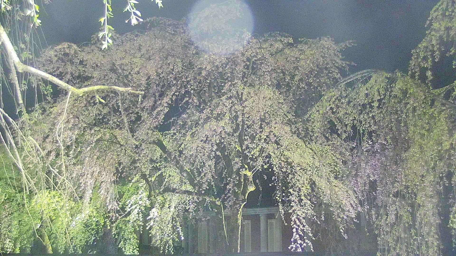 area2-20250430211105.jpg