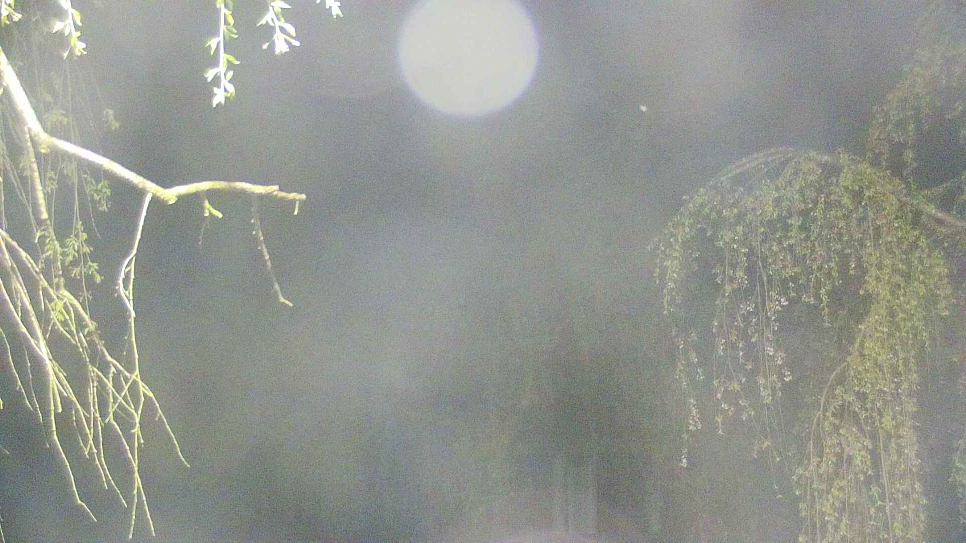 area2-20250501012105.jpg