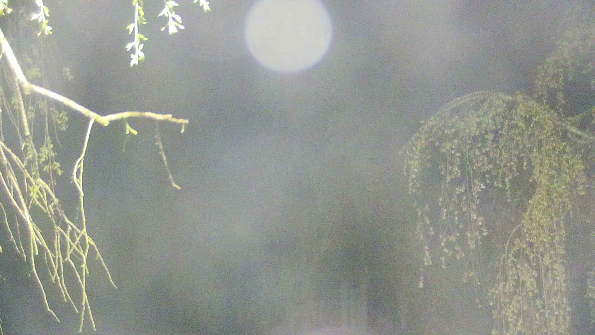 area2-20250501023106.jpg