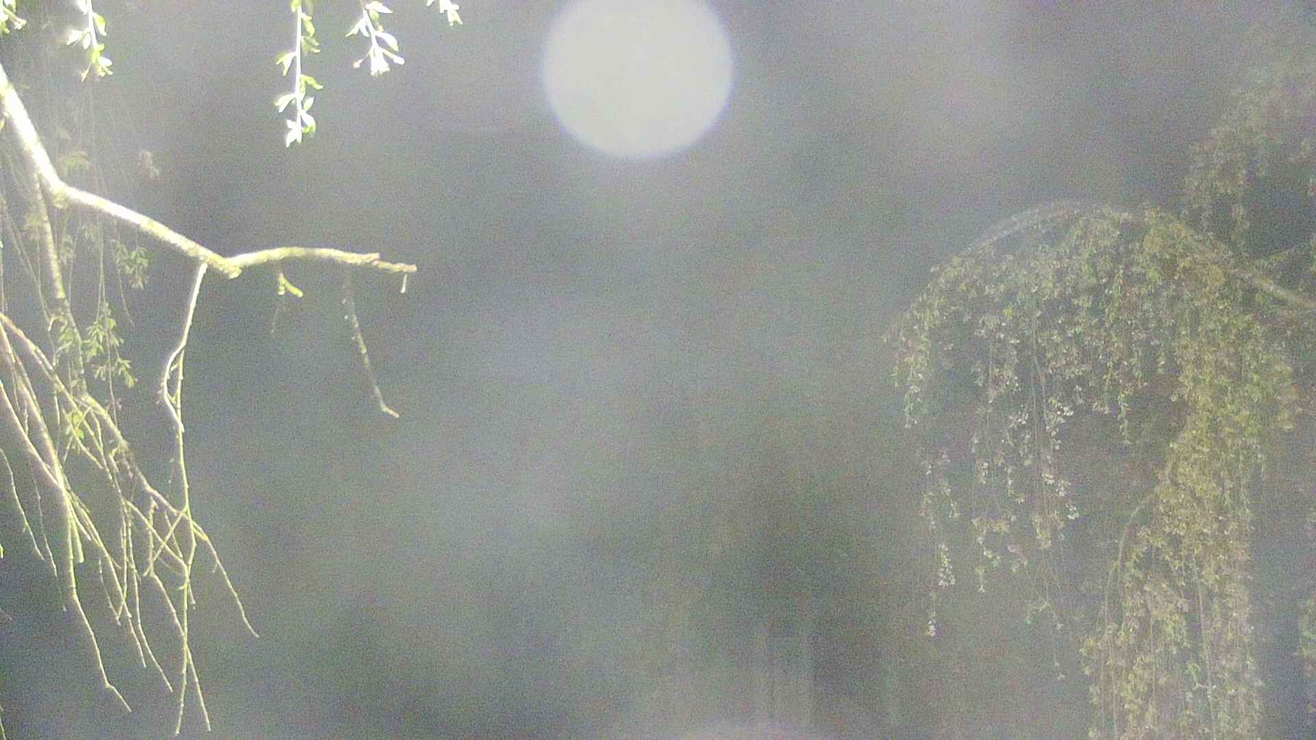 area2-20250501031106.jpg