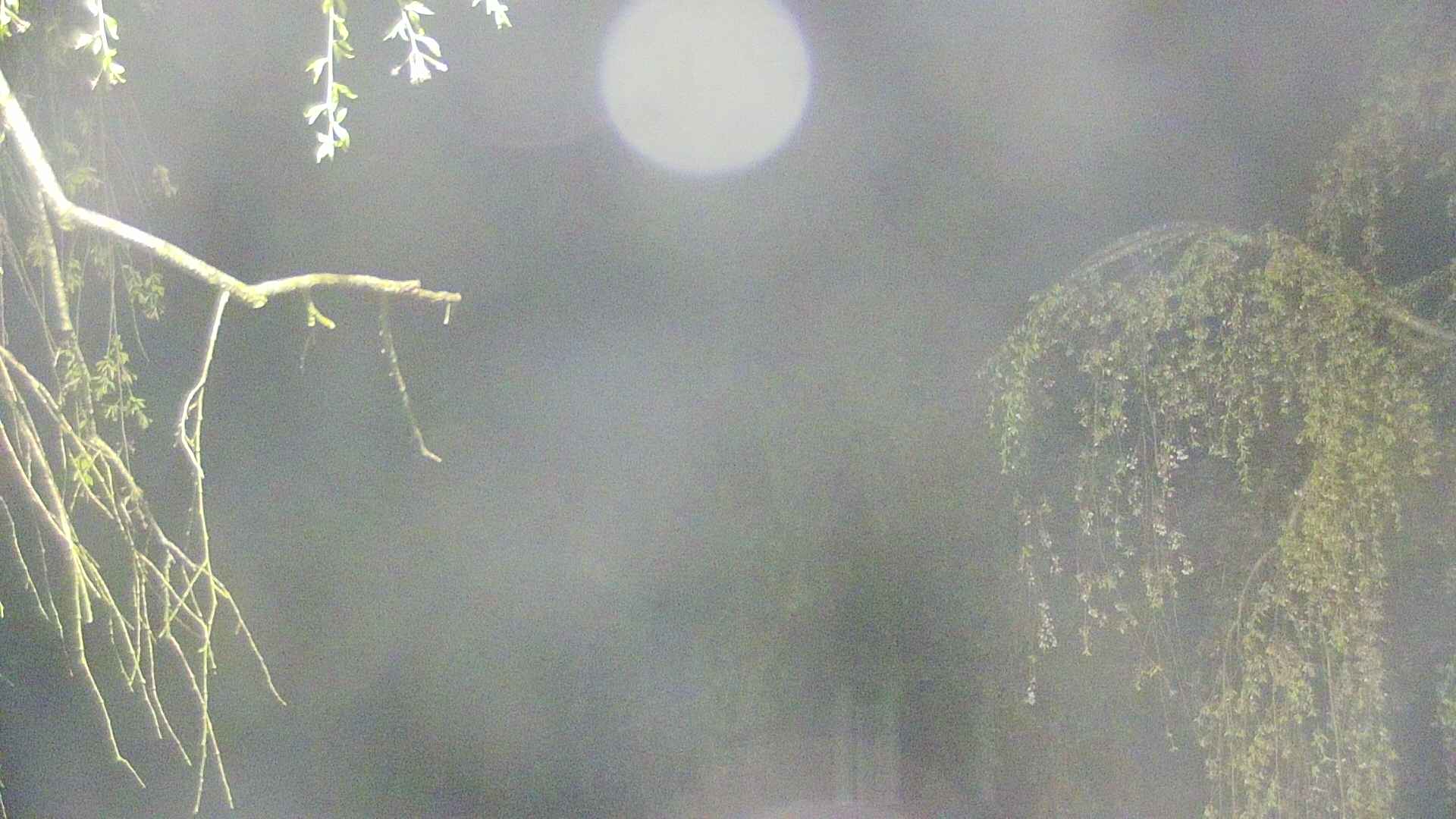 area2-20250501032106.jpg