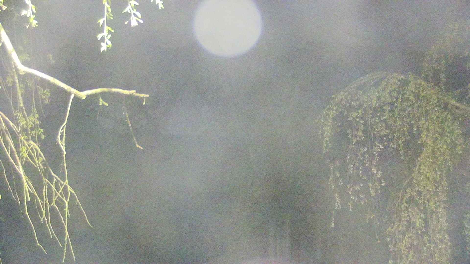 area2-20250501034106.jpg