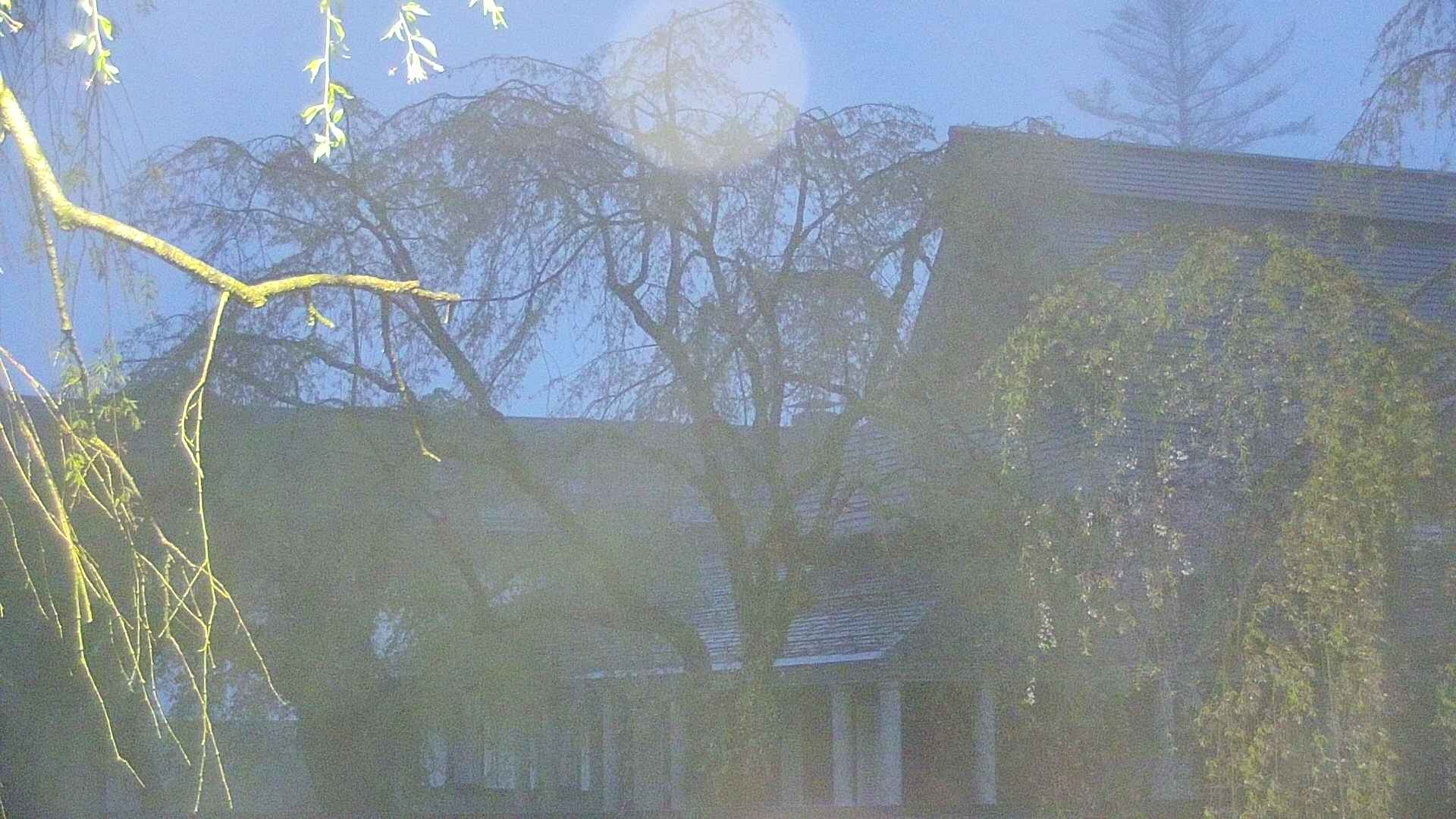 area2-20250501041105.jpg