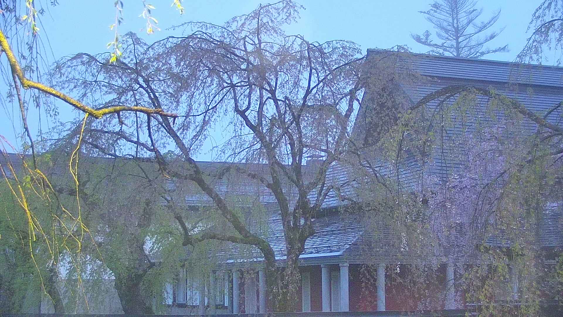 area2-20250501042105.jpg
