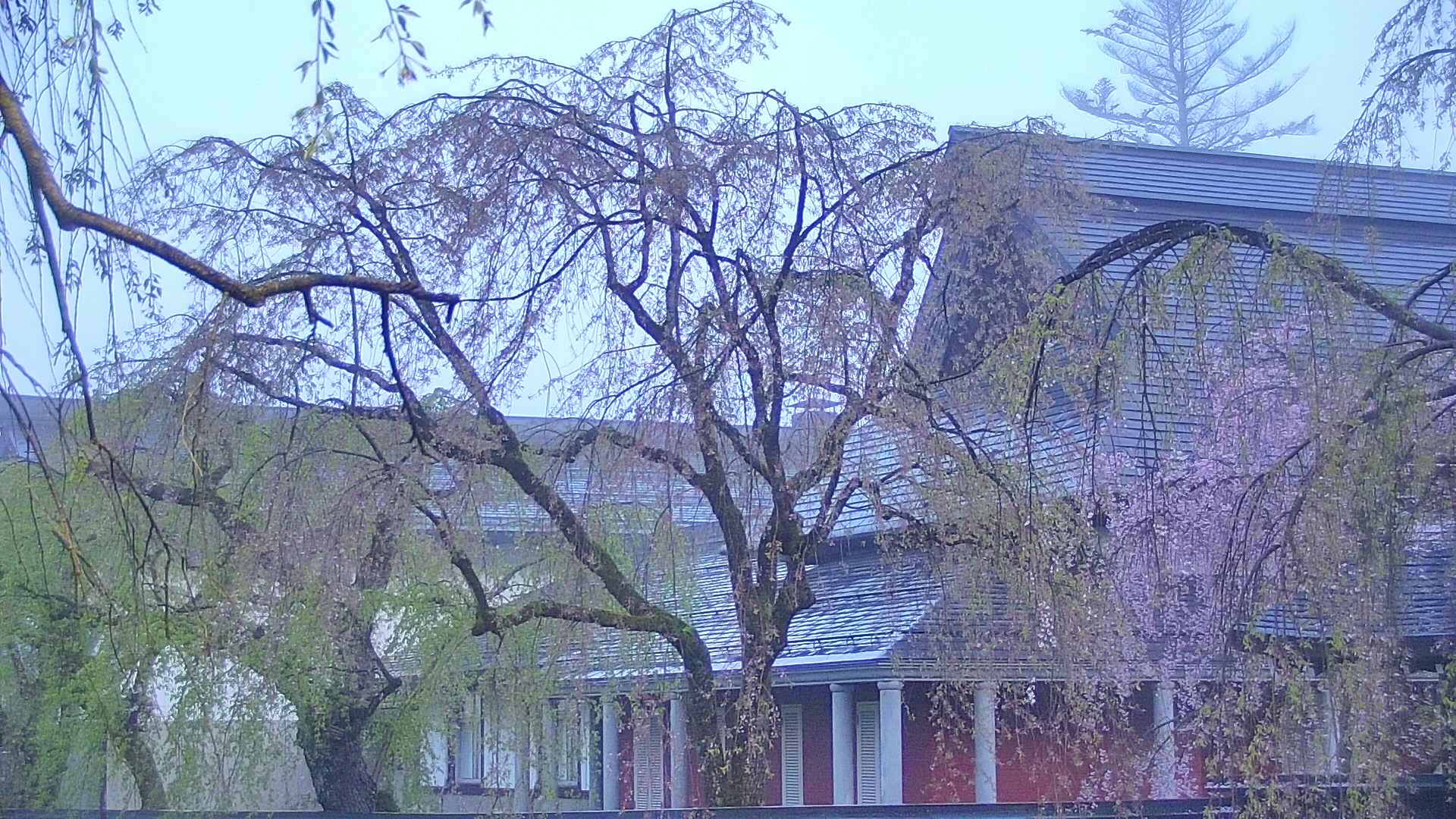 area2-20250501043106.jpg