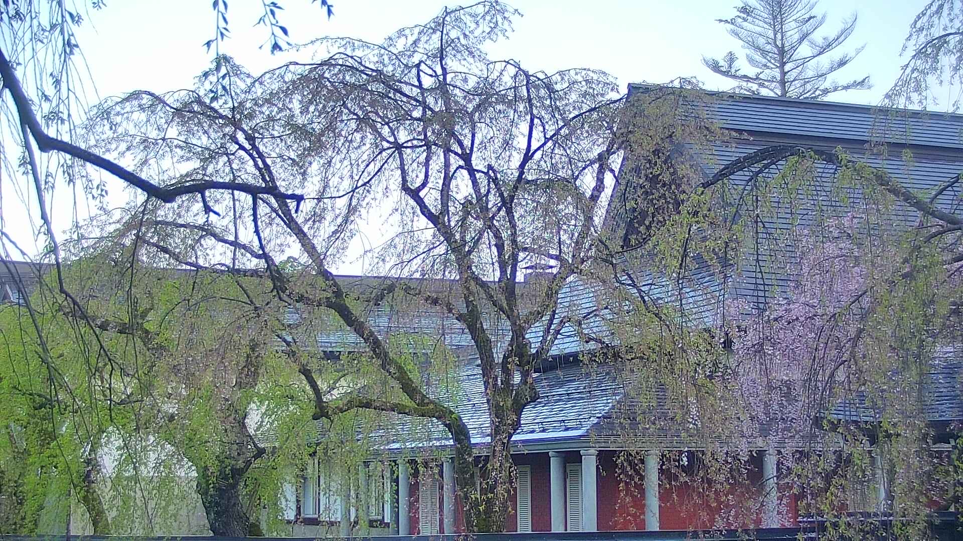 area2-20250501045106.jpg