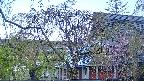 area2-20250501051106.jpg